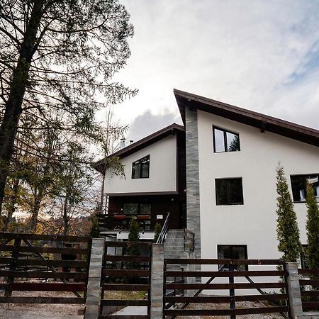Panoramic Apartments - Montepalazzo Sinaia Exterior photo
